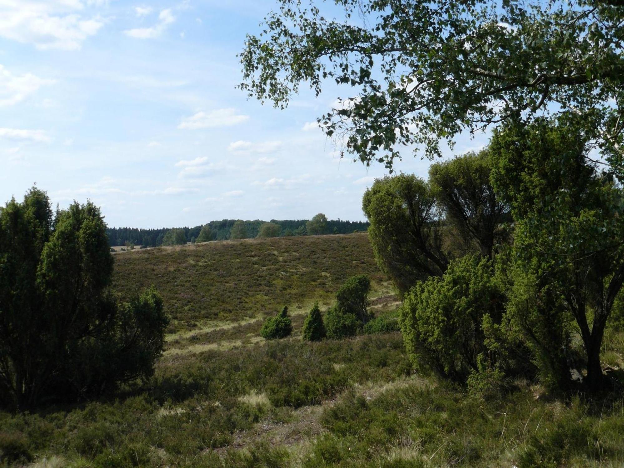 Holiday Home In Wietzendorf In The L Neburg Heath With A View Of The Countryside 外观 照片