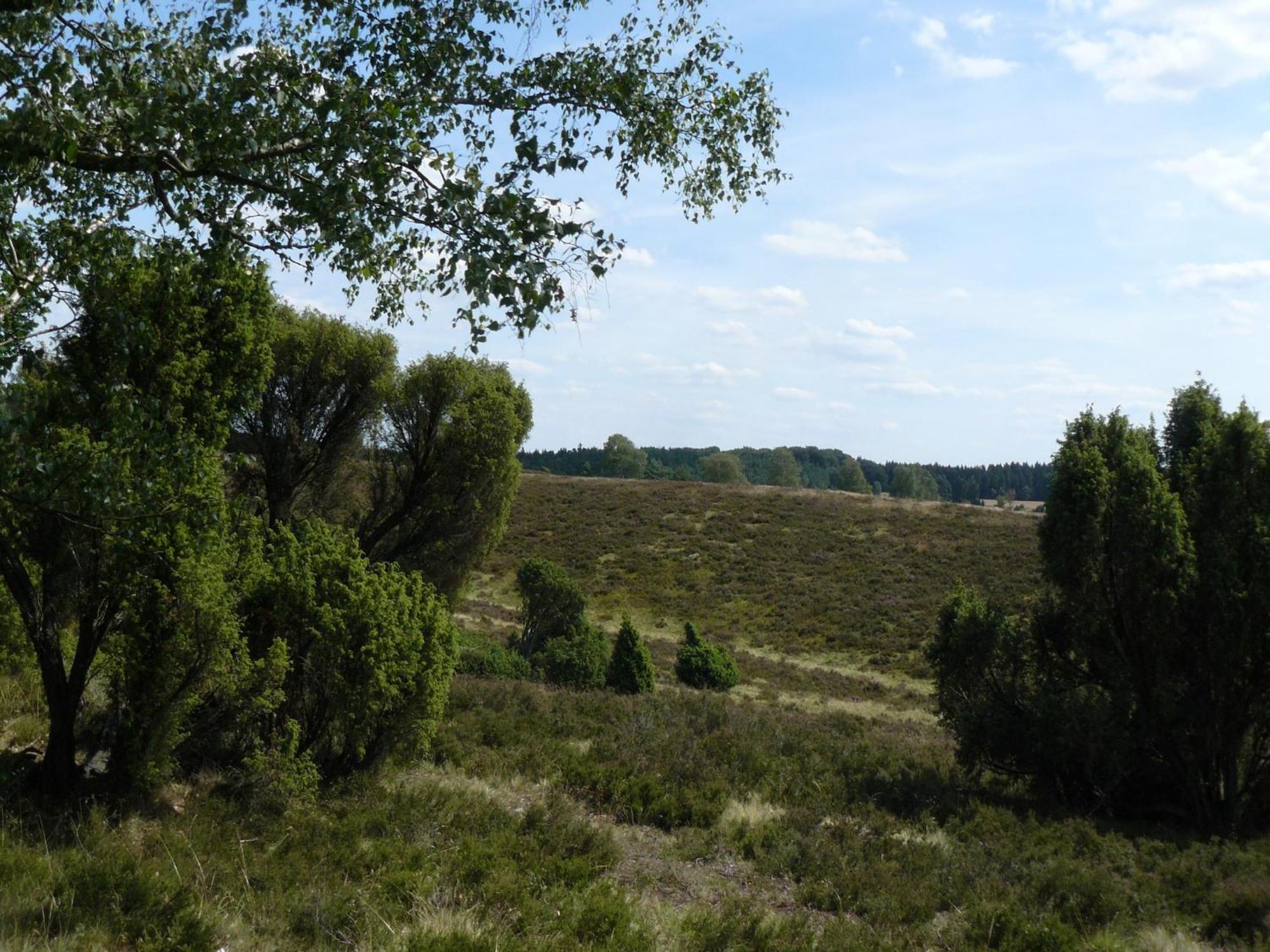 Holiday Home In Wietzendorf In The L Neburg Heath With A View Of The Countryside 外观 照片